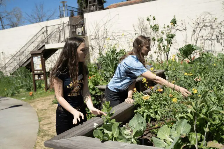 Student Gardens