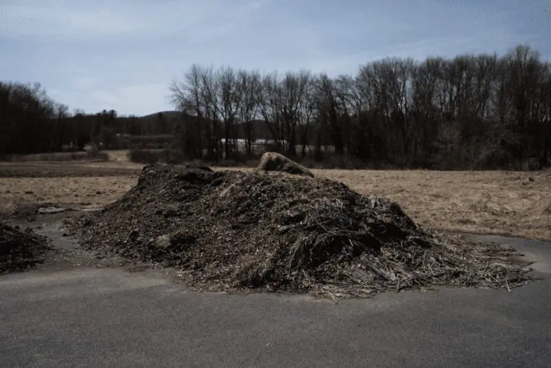Compost Pile