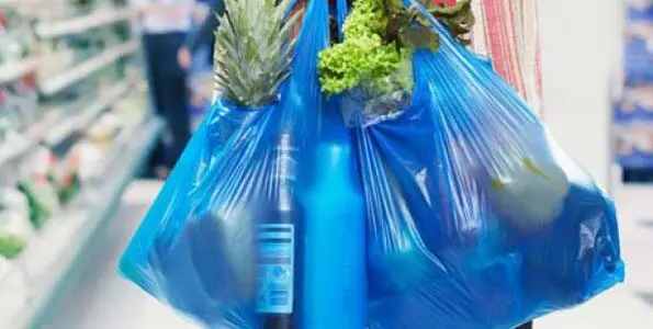 Plastic Bag in Grocery Store