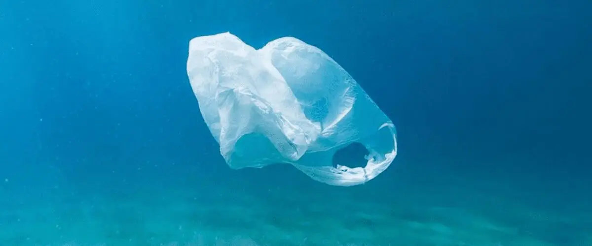 Plastic bag floating in the ocean.
