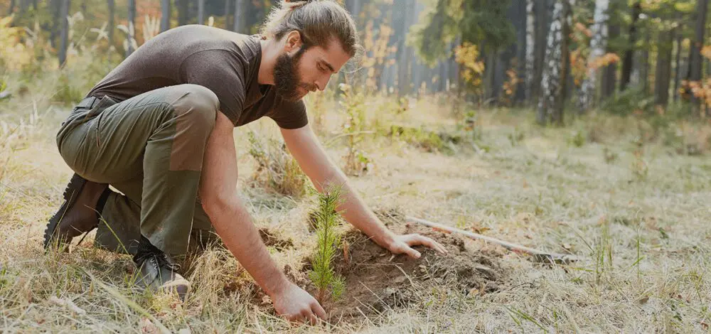 man tree planting