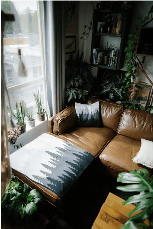 tentree brandable blanket