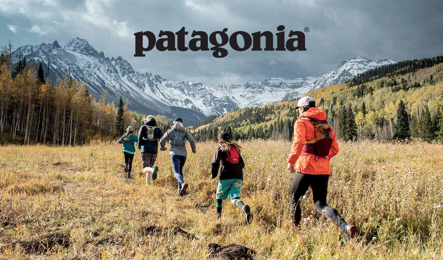 people wearing patagonia gear running through a field with mountains and trees in the background. Patagonia logo is on top of the image.