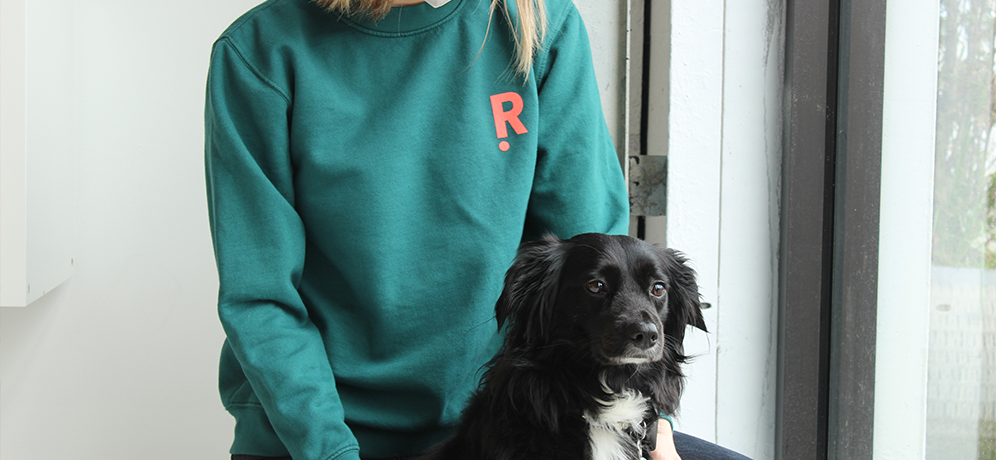 person in a green sweatshirt with a black and white dog sitting by a window