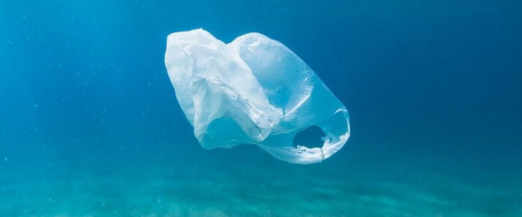 Plastic bag floating in the ocean.