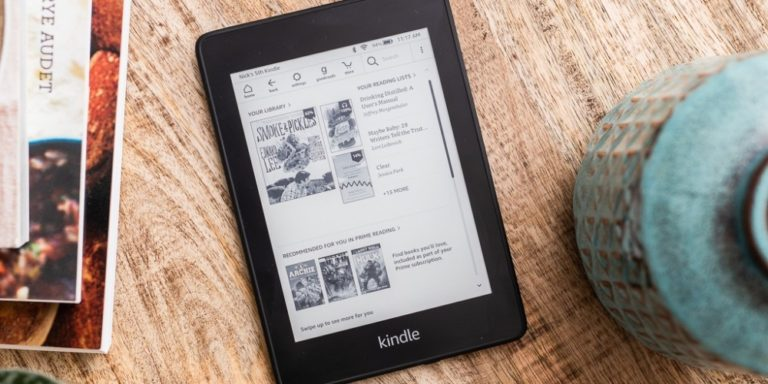 Person Reading a Book in their Kindle